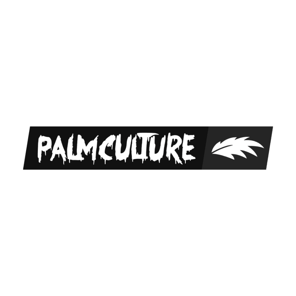 Our Mission & Vision for athletenow 25 Palm Culture Clothing, Athlete Now's watersports clothing partner